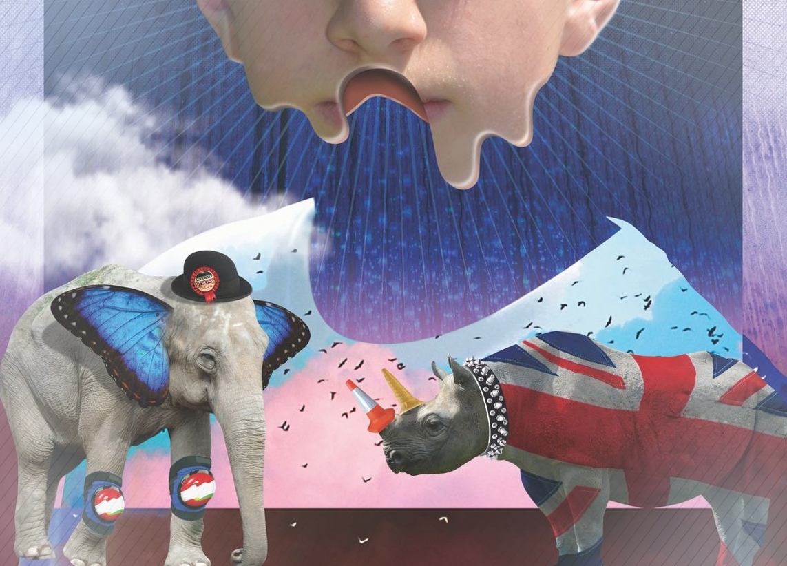 To sleep perchance to dream but does cheese give nightmares _ art exhibited at The Qube gallery
